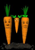 carrot_family_swing_mb.gif