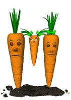 carrot_family_swing_lw.gif