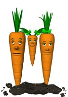 carrot_family_swing_hr.jpg