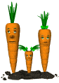 carrot_family_blinking_sw.gif