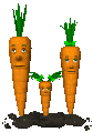 carrot_family_blinking_sc.gif