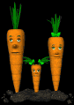 carrot_family_blinking_sb.gif