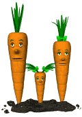 carrot_family_blinking_mw.gif