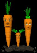 carrot_family_blinking_mc.gif