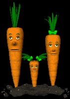 carrot_family_blinking_lc.gif