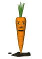 carrot_blinking_sw.gif