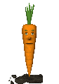 carrot_blinking_sc.gif