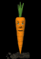 carrot_blinking_sb.gif