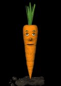 carrot_blinking_mb.gif