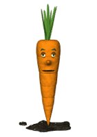 carrot_blinking_lw.gif