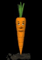 carrot_blinking_lc.gif