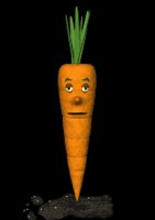 carrot_blinking_lb.gif