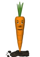 carrot_blinking_hr.jpg