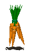 blinking_carrot_bunch_sc.gif