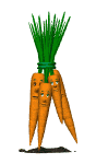 blinking_carrot_bunch_mw.gif