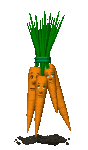 blinking_carrot_bunch_mc.gif