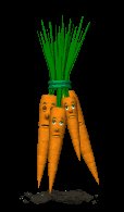 blinking_carrot_bunch_lc.gif