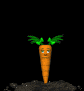 baby_carrot_jump_sb.gif
