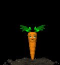 baby_carrot_jump_mc.gif
