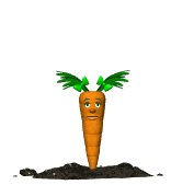 baby_carrot_jump_lw.gif