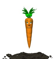 baby_carrot_jump_hr.jpg