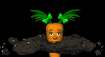 baby_carrot_coming_up_a_sb.gif