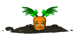 baby_carrot_coming_up_a_mw.gif