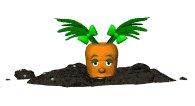 baby_carrot_coming_up_a_lw.gif