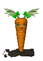 baby_carrot_blinking_sc.gif