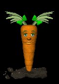 baby_carrot_blinking_mc.gif