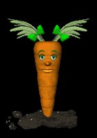 baby_carrot_blinking_lc.gif