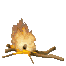 campfire_burning_sc.gif
