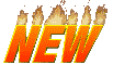 new_mc.gif