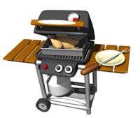 gas_grill_turkey_hr.jpg
