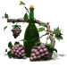 bottle_grapes_sw.gif