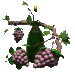 bottle_grapes_sc.gif