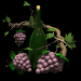 bottle_grapes_sb.gif