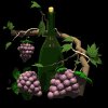 bottle_grapes_mb.gif