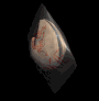 fortunecookie_mb.gif