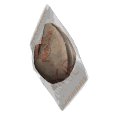 fortunecookie_lw.gif