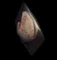 fortunecookie_lb.gif