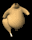 cooked_turkey_walking_tb.gif