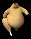 cooked_turkey_walking_lc.gif