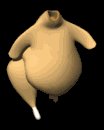 cooked_turkey_walking_lb.gif