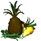 pineapple_rocking_wit_a_sc.gif