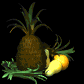 pineapple_rocking_wit_a_sb.gif