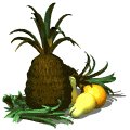 pineapple_rocking_wit_a_mw.gif