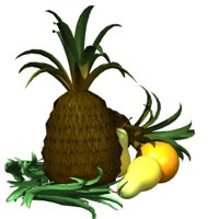 pineapple_rocking_wit_a_hr.jpg