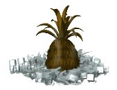 pineapple_onice_chill_a_lw.gif