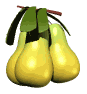 pears_rocking_tree_mw.gif